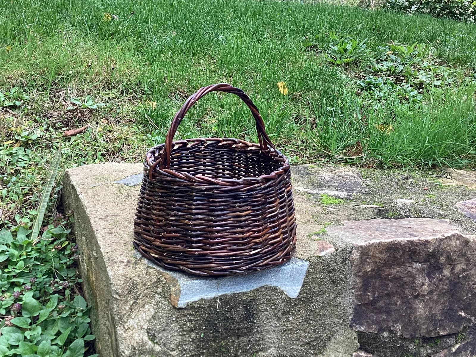Image 1 : Stage de vannerie : petit panier rentrant background