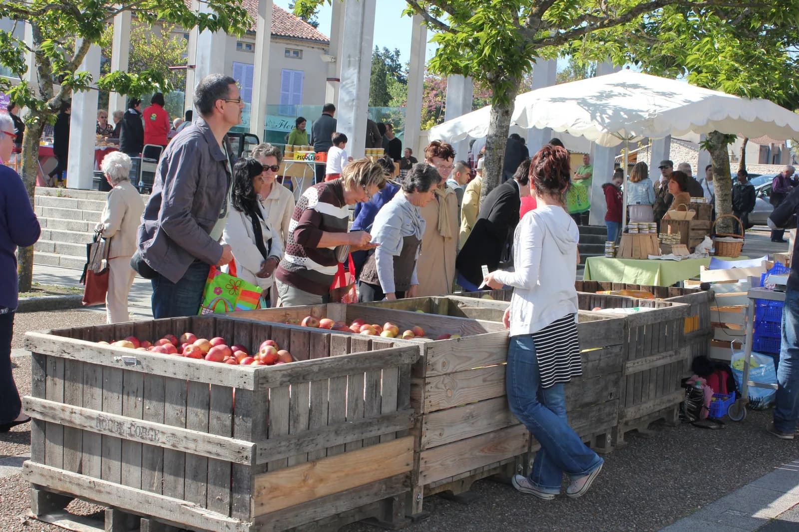 Image 1 : Marché de Cerizay background