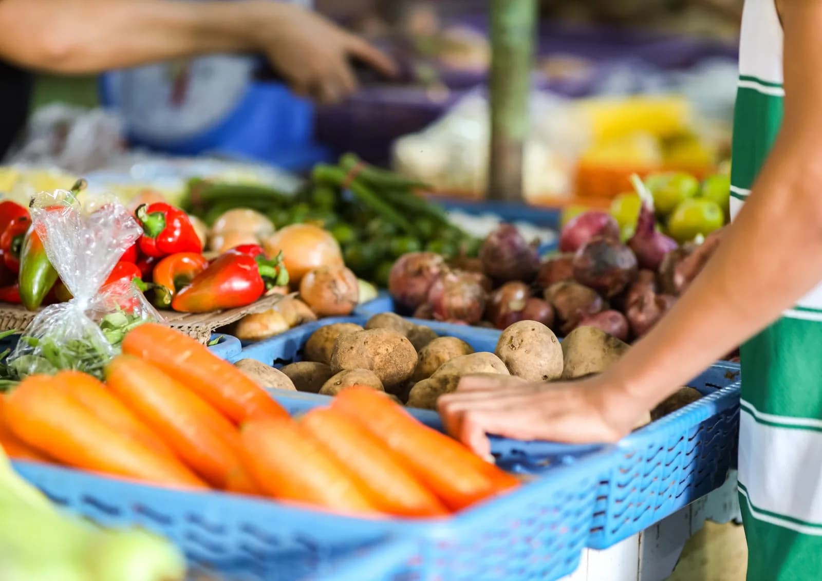 Image 1 : Marché du Lonzac background