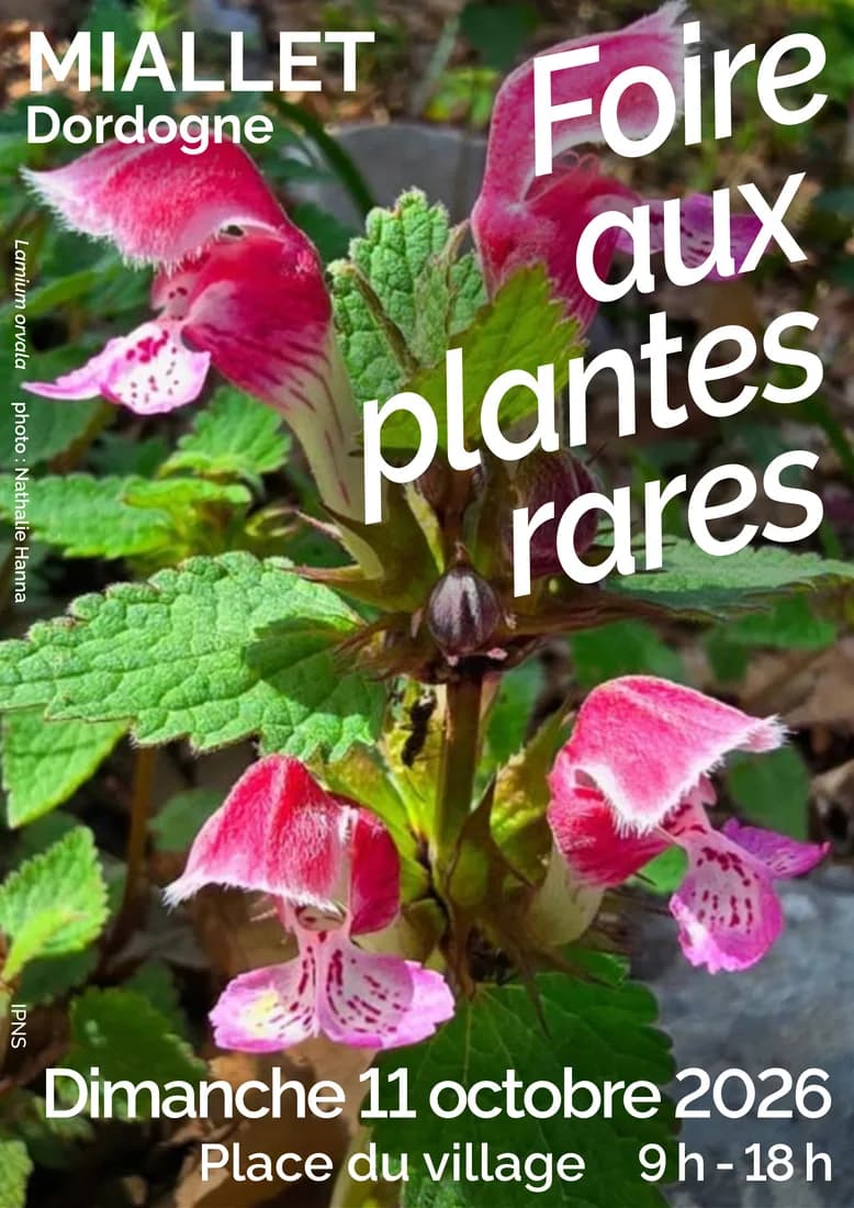 Image 1 : Foire aux plantes rares background