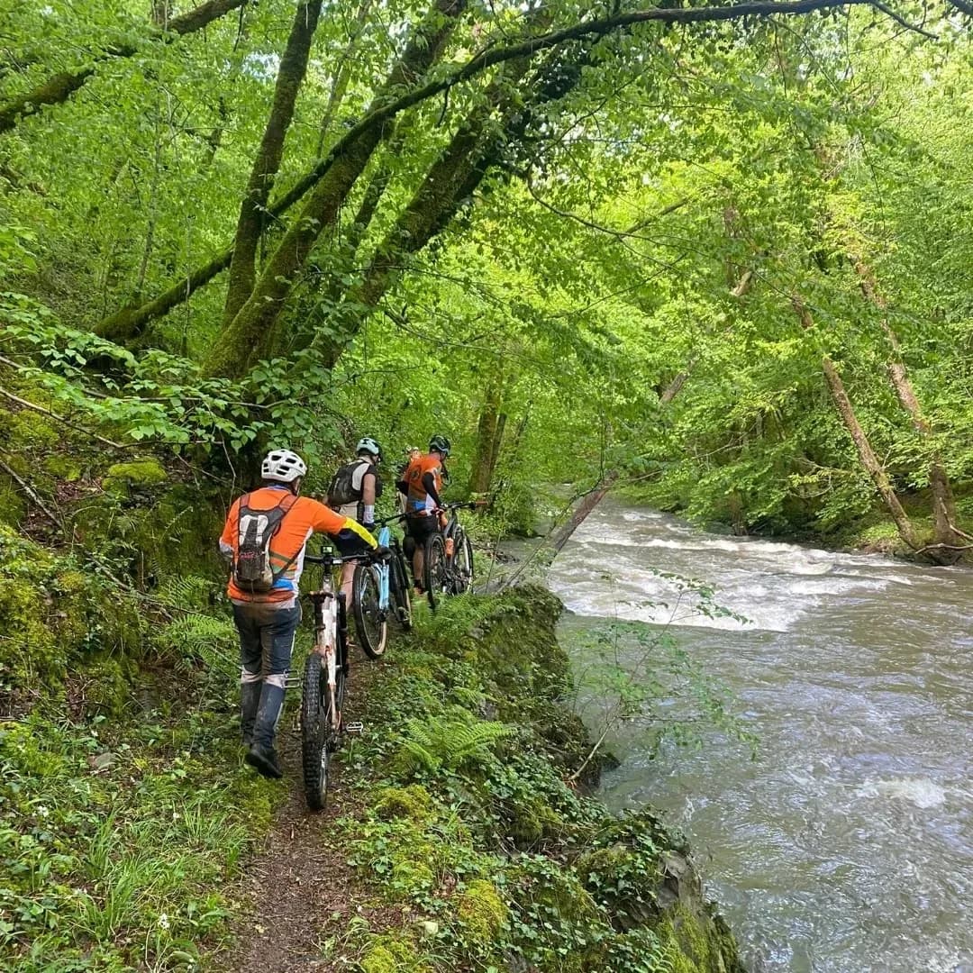 Image 3 : 4ème Roues des loues background