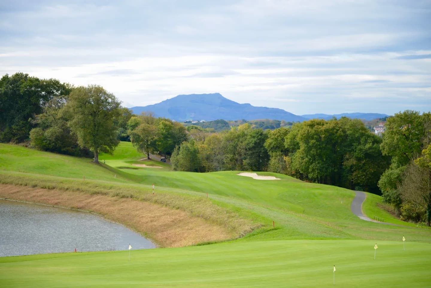 Image 1 : Compétition de golf background