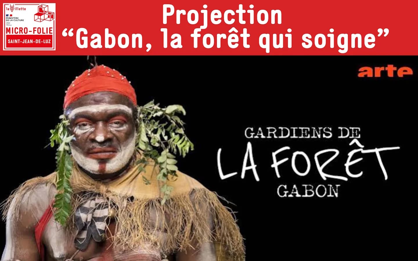 Image 1 : Micro-Folie : Projection : Gabon, la fôret qui soigne background