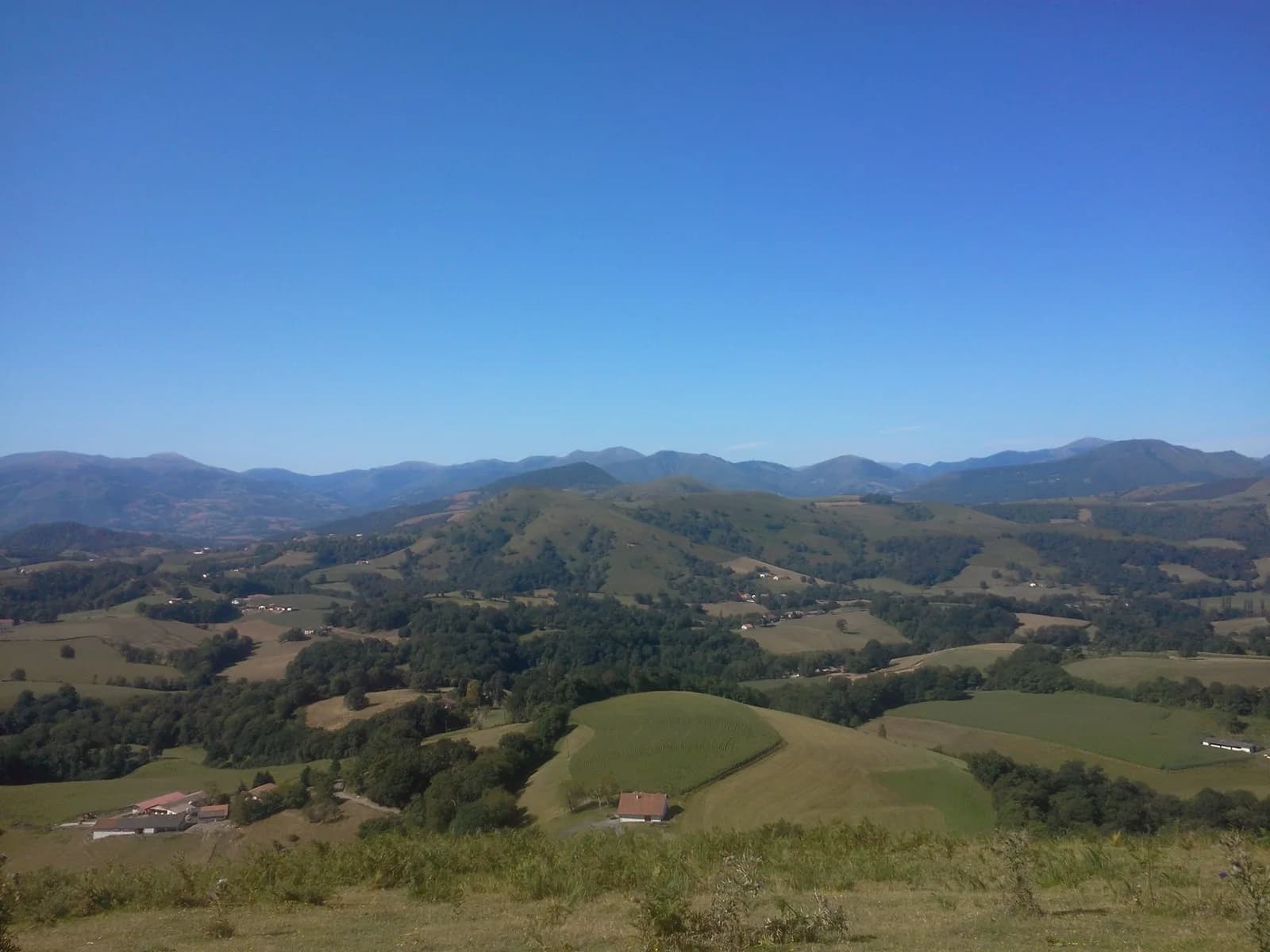 Image 2 : Euskal race : course d'obstacles background