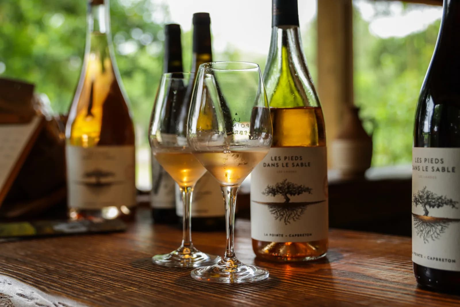 Image 1 : Visite apéritive au Domaine de La Pointe background