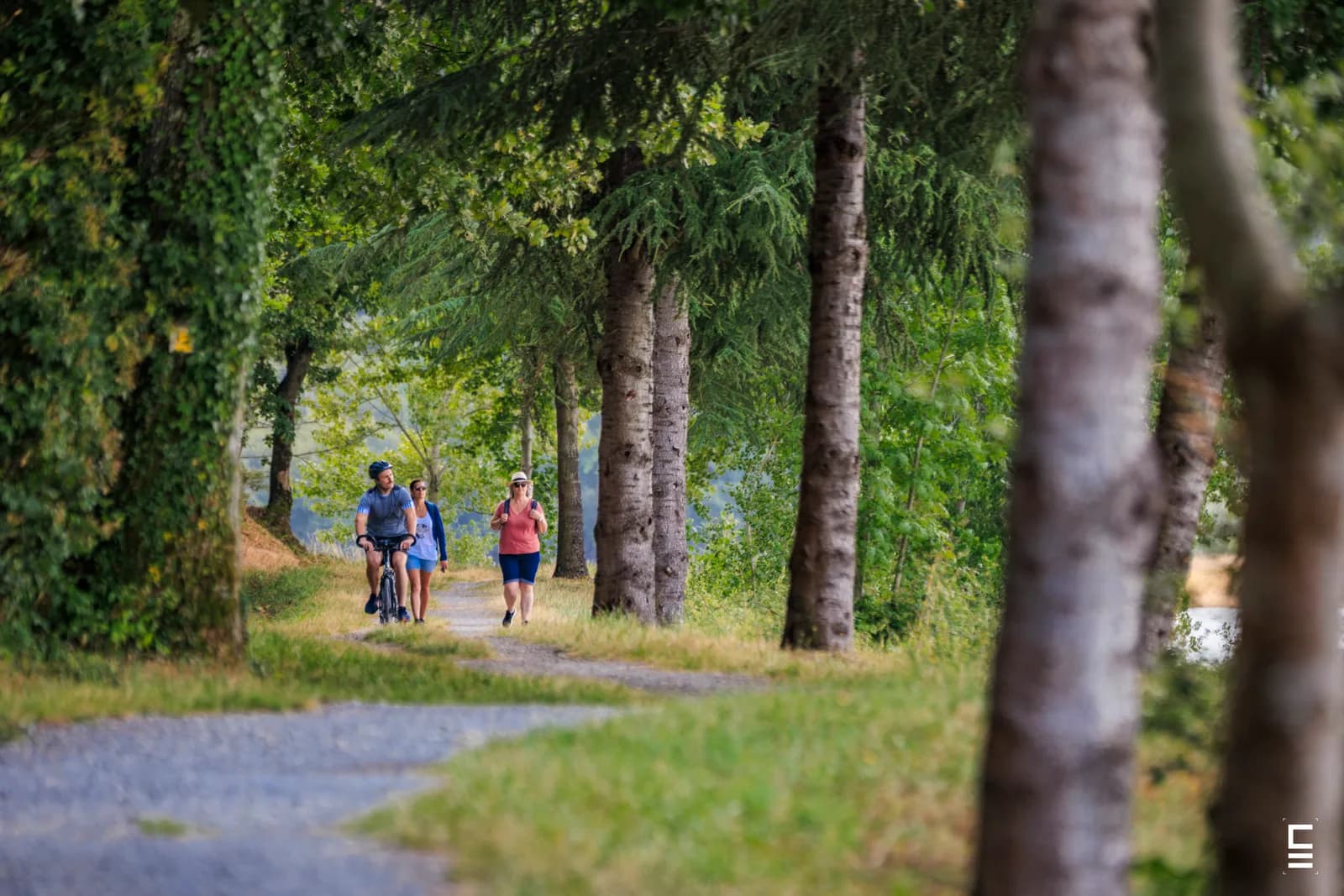 Image 1 : Journée des mobilités background