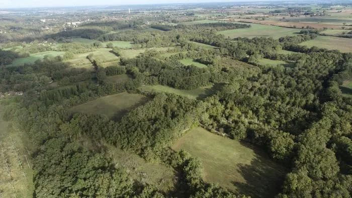 Image 1 : Chantier nature : Bocage de Boisdichon background