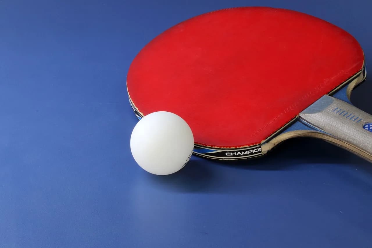 Image 2 : Compétition individuelle de tennis de table background
