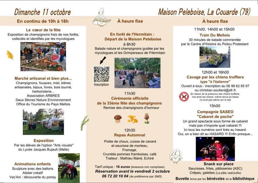 Image 2 : 33e Fête des Champignons background