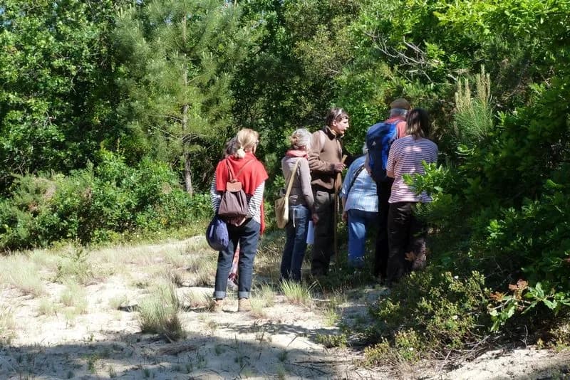Image 1 : Visite Guidée : Forêt Dunaire de Camicas background