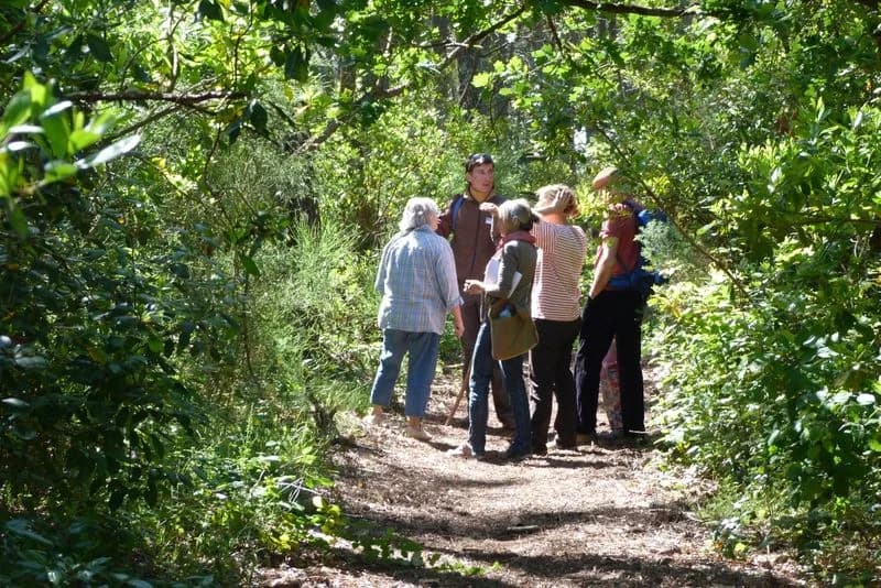 Image 3 : Visite Guidée : Forêt Dunaire de Camicas background