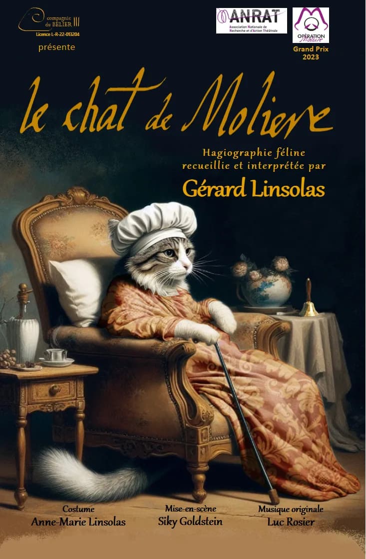 Image 1 : Le chat de Molière, de et avec Gérard Linsolas background