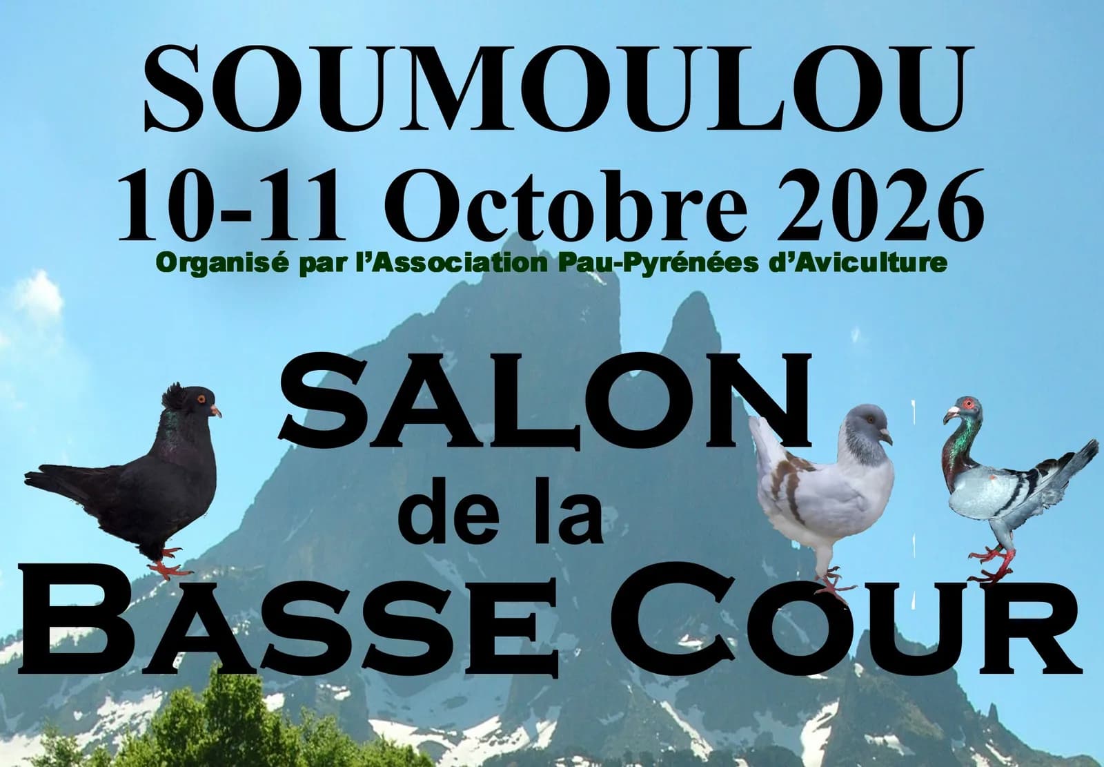 Image 1 : Salon de la basse-cour background