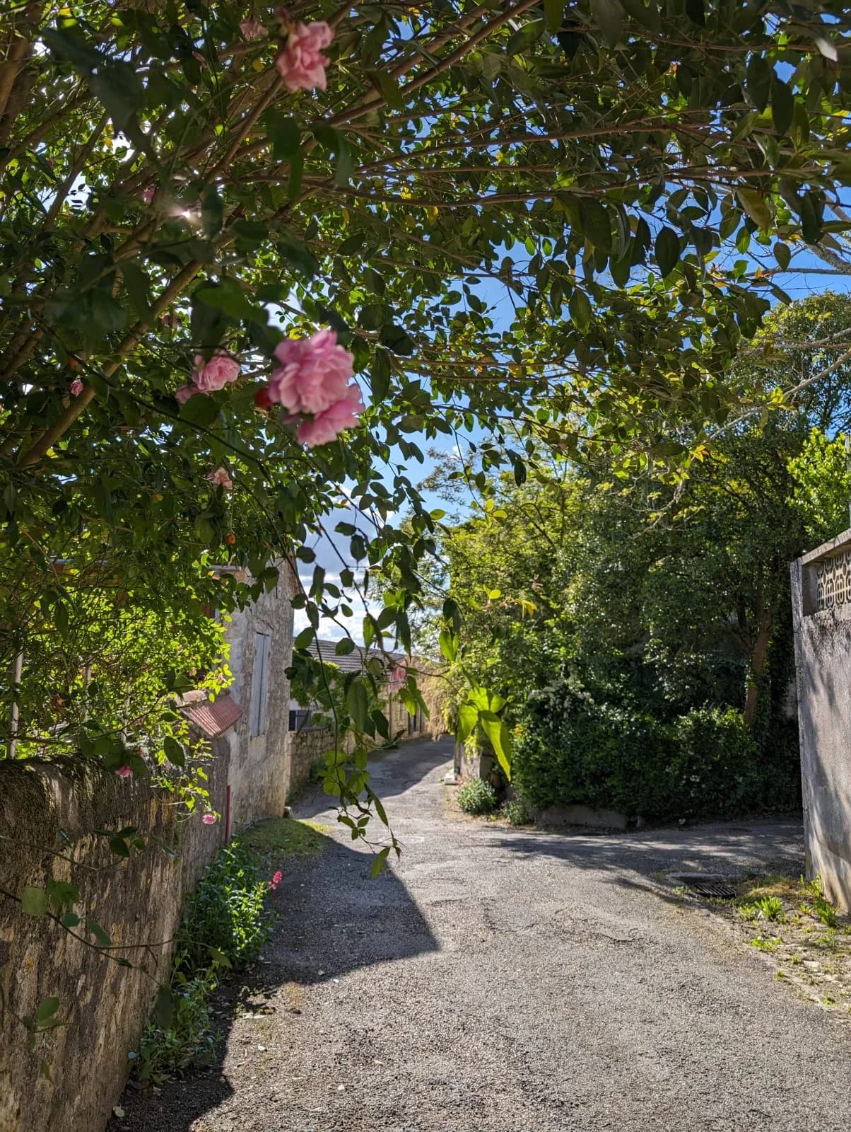 Image 1 : Octobre rose à Sainte-Colombe-en-Brulhois background