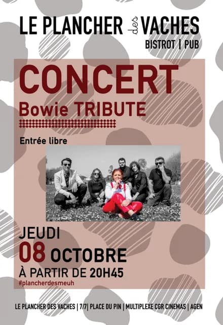 Image 1 : Bowie Tribute background