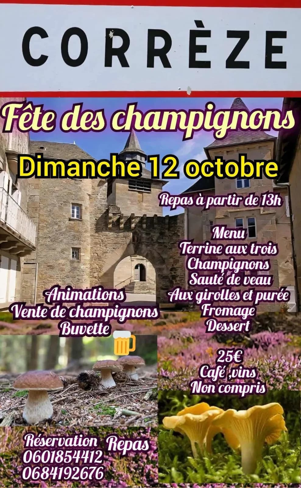 Image 1 : Fête des Champignons background