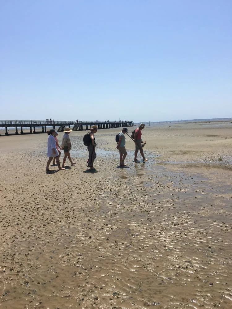 Image 2 : Les trésors de la plage à marée basse background