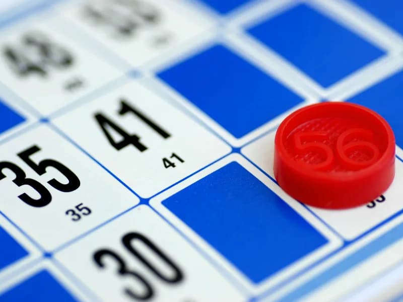 Image 1 : Loto des chasseurs background