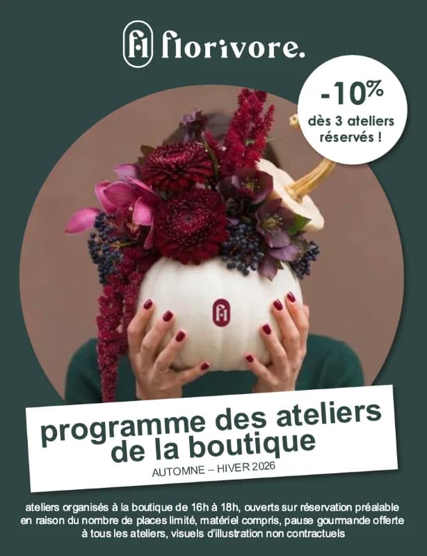 Image 1 : Atelier découverte - Plantes de l'immunité et des maux de saison background