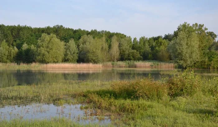 Image 1 : Visite de la Réserve Naturelle de l'Étang de la Mazière background