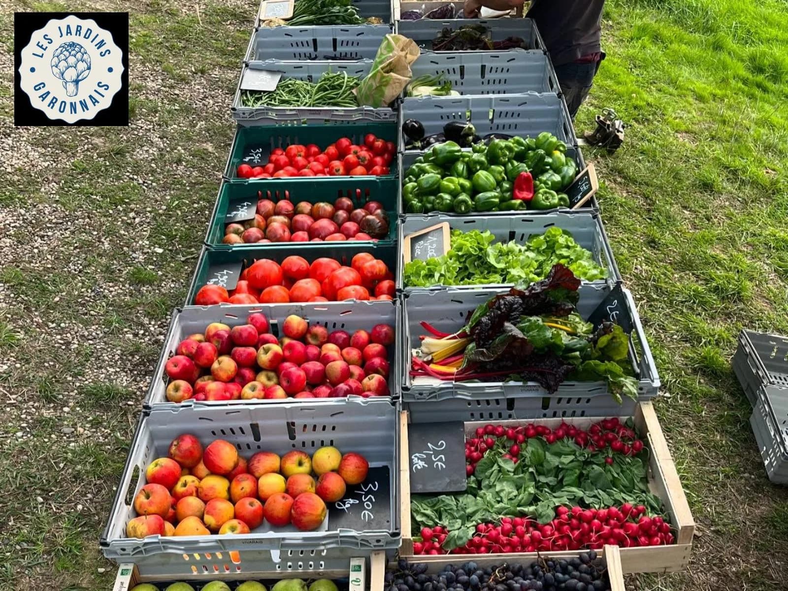Image 2 : Le marché de la Table du Renard Bleu background