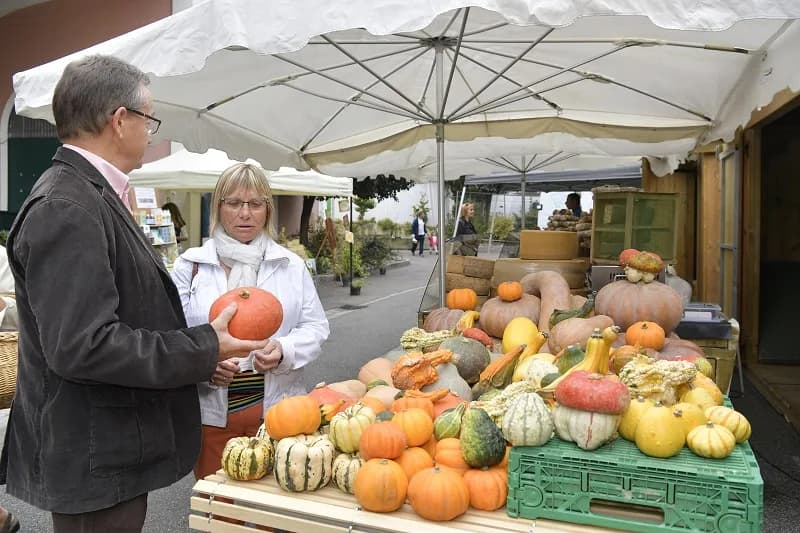 Image 2 : Marché traditionnel background