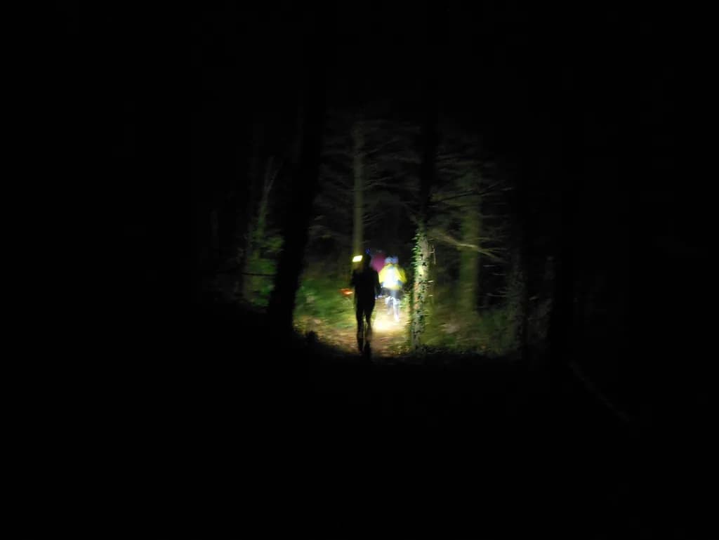 Image 3 : Cazinight trail nocturne background