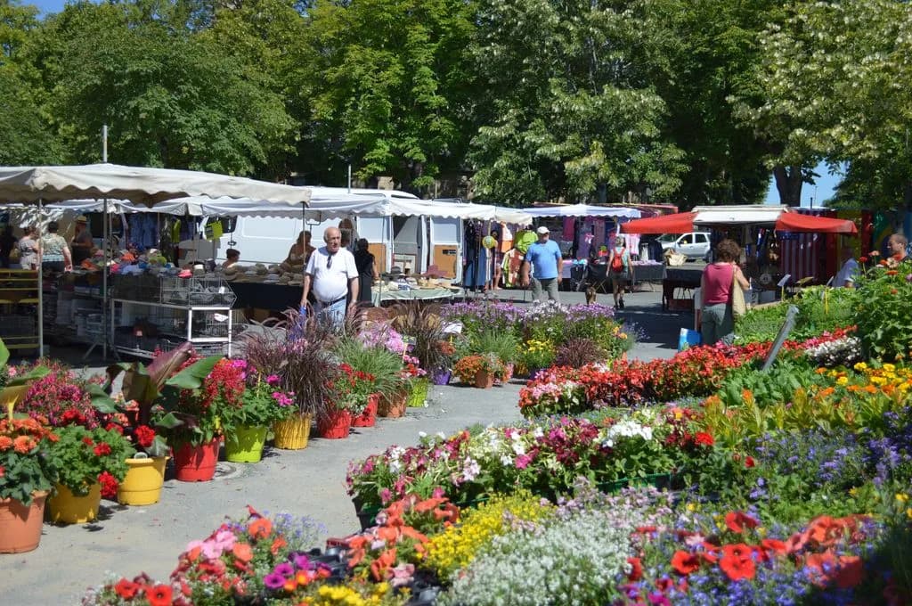 Image 1 : Marché background