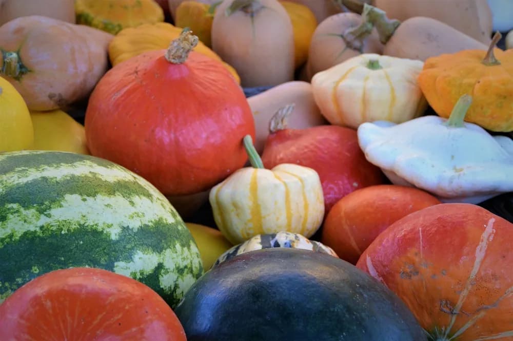 Image 1 : Marché traditionnel hebdomadaire background