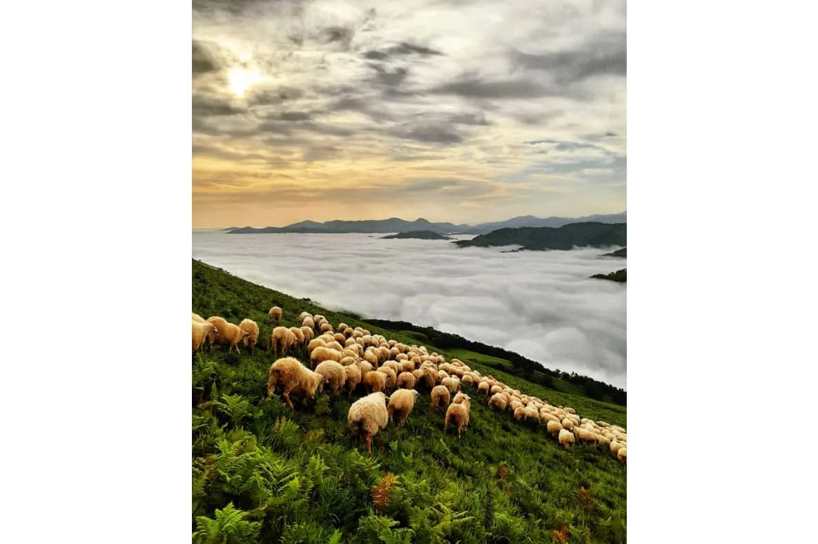 Image 2 : Rando à la ferme avec Trott'Iraty et pique-nique du berger background