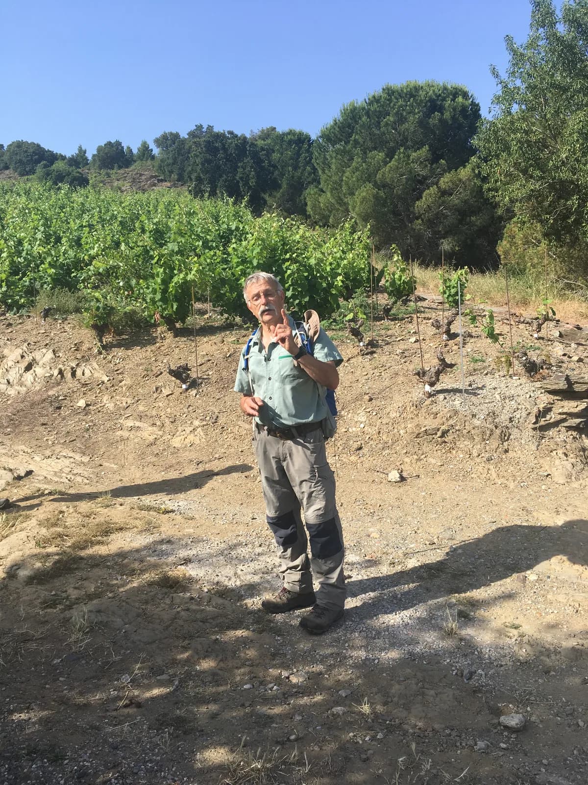 Image 2 : BALADE VINOHRANDO DANS LES VIGNES - OENOTOURISME ! background