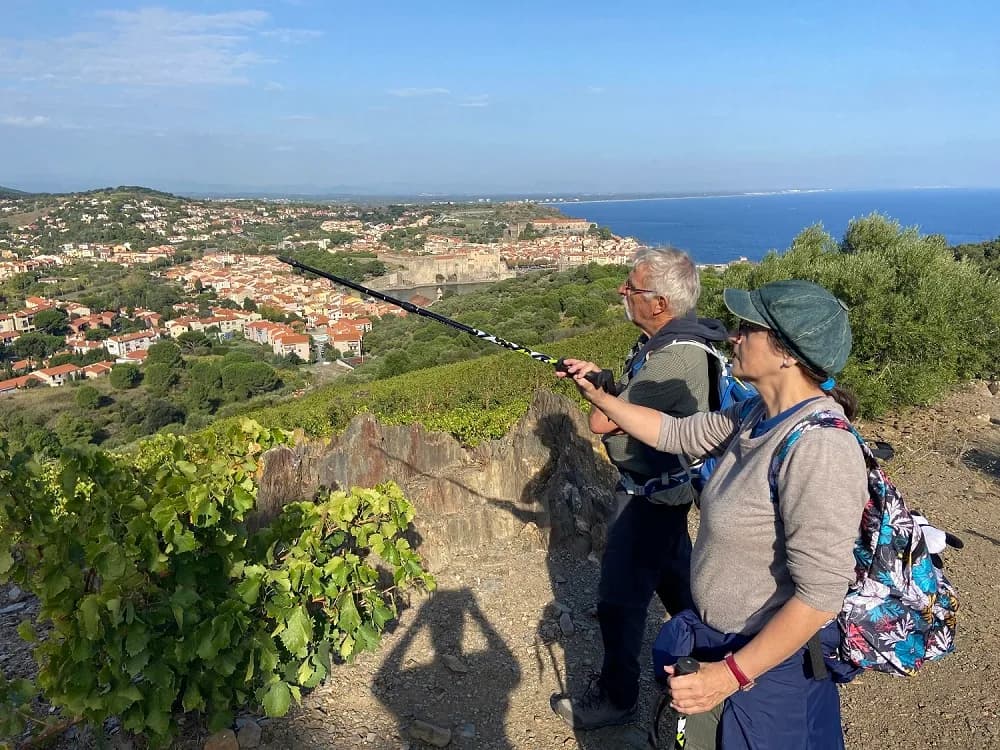 Image 3 : BALADE VINOHRANDO DANS LES VIGNES - OENOTOURISME ! background