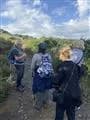 Image 4 : BALADE VINOHRANDO DANS LES VIGNES - OENOTOURISME ! background