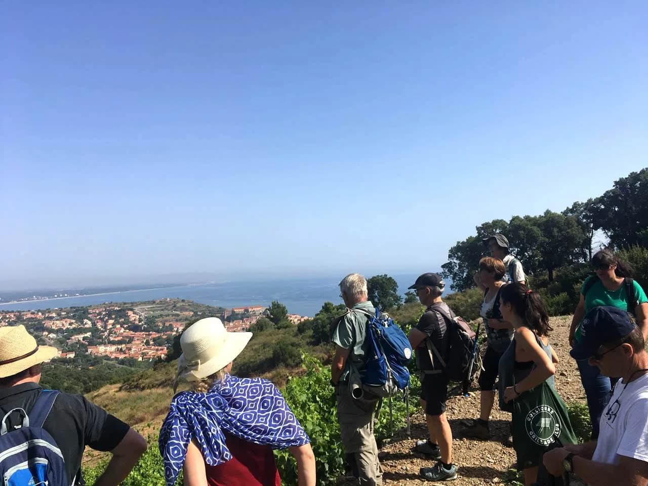 Image 5 : BALADE VINOHRANDO DANS LES VIGNES - OENOTOURISME ! background