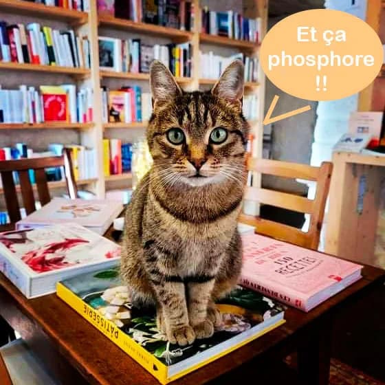 Image 2 : Livres, Books & Co : Thé Philo background