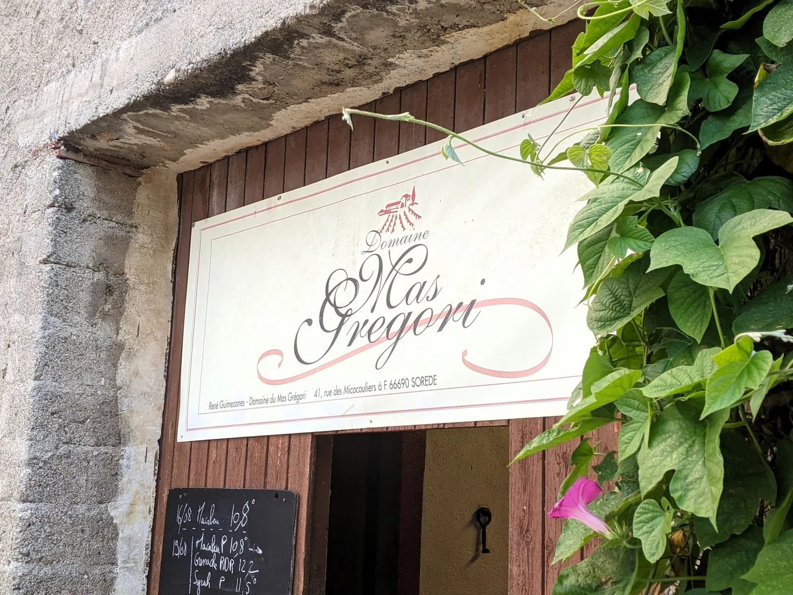 Image 2 : APERITIF VIGNERON "MAS GREGORI" background