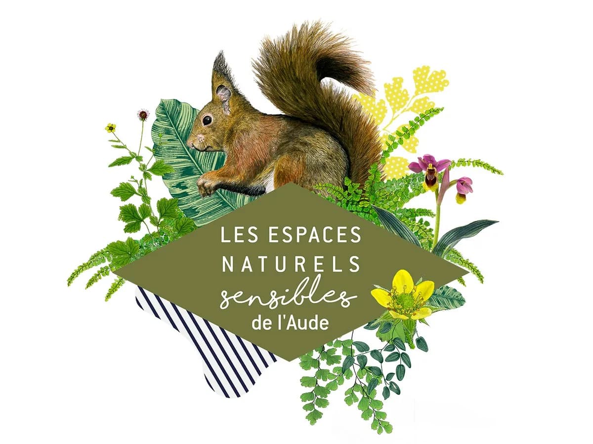 Image 1 : ENS - L'ÉCOLOGIE DU CERF ÉLAPHE background