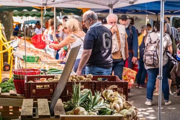 Image 2 : Marché Traditionnel background
