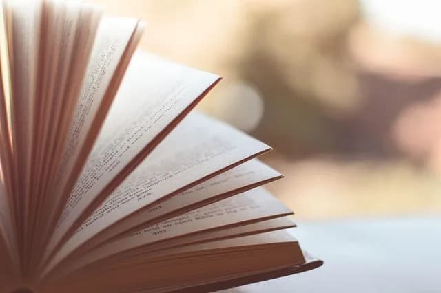 Image 1 : STAND DE LIVRES background