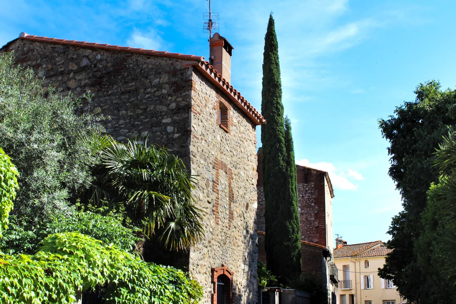 Image 3 : VISITE GUIDEE "HISTOIRE D'UN TERROIR CATALAN" background
