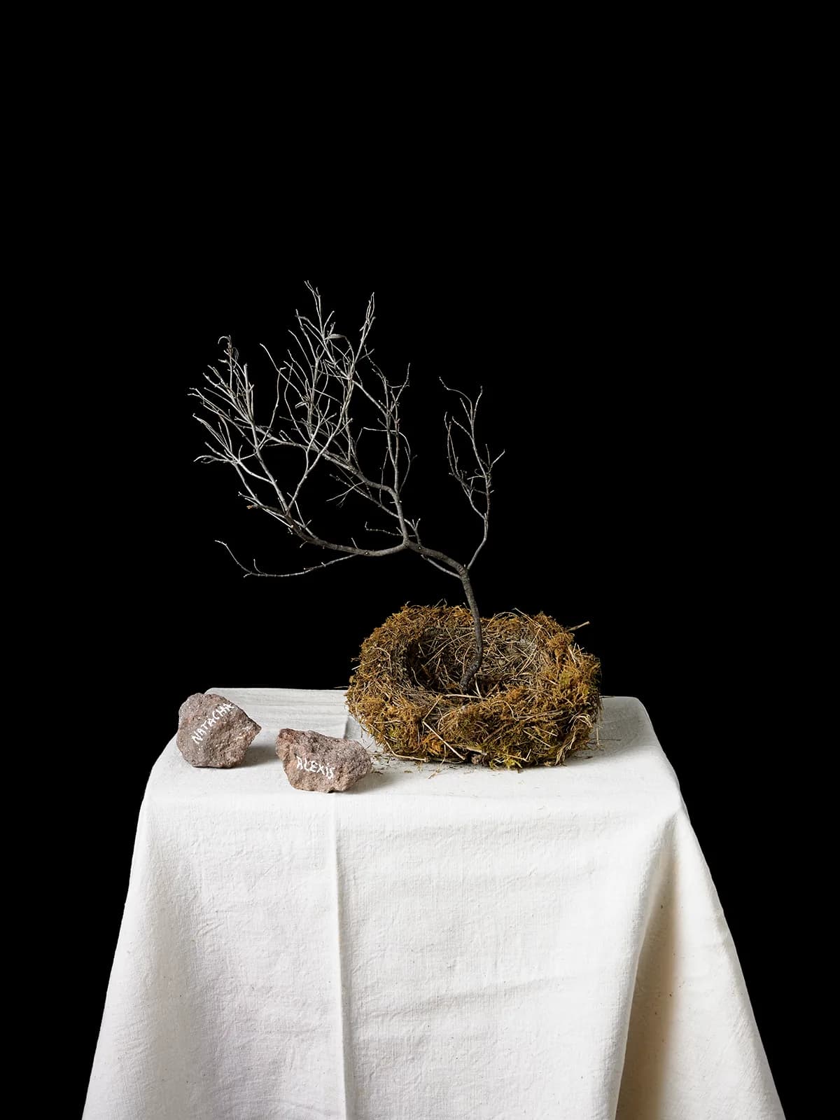 Image 1 : Soirées poésie et photographies background