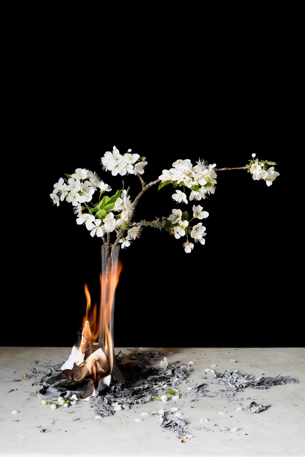 Image 4 : Soirées poésie et photographies background