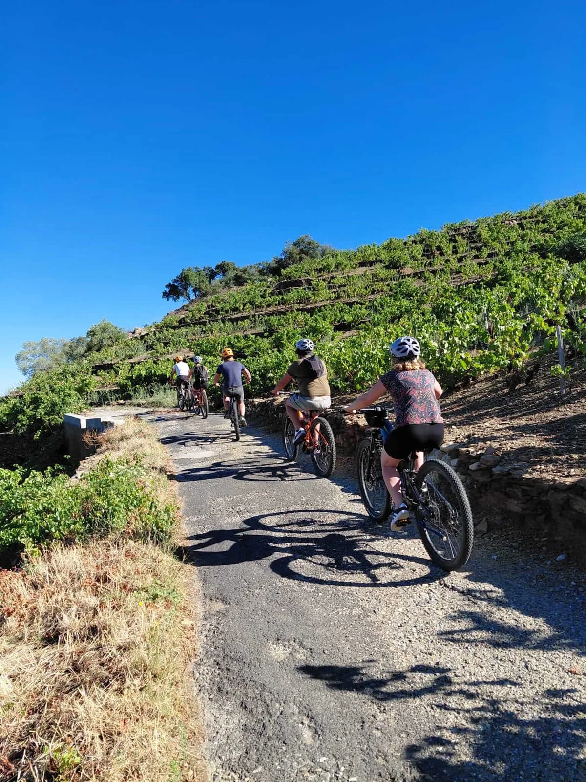 Image 2 : BALADE OENOTOURISTIQUE EN VTT ÉLECTRIQUE À COLLIOURE background