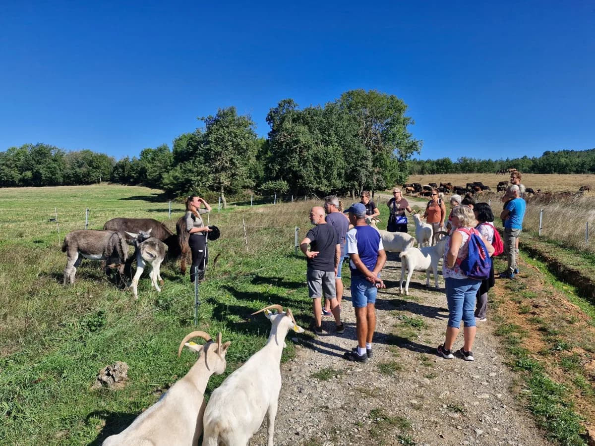 Image 1 : VOYAGE DE DÉCOUVERTE DE L'ÉCOTOURISME EN HAUTE VALLÉE DE L'AUDE background