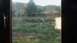 Image 1 : RENCONTRES TERRA NOSTRA : COMME D'ICI AU POMMIER background