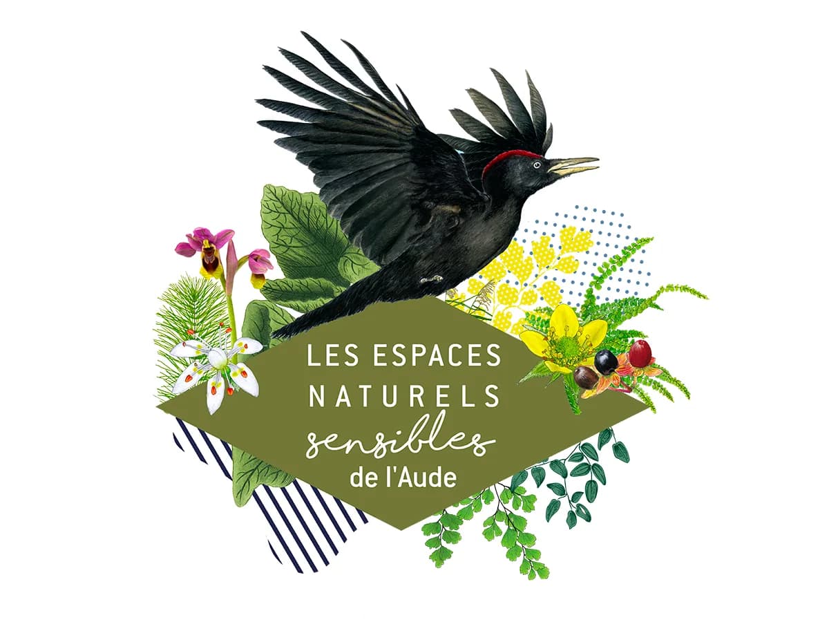 Image 1 : ENS - À L'ÉCOUTE DES ANIMAUX DE LA NUIT background