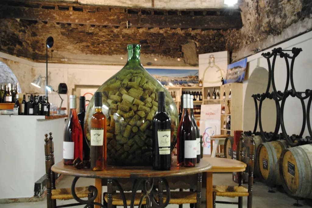 Image 3 : APERITIF VIGNERON AU DOMAINE CLAIRE MAYOL background