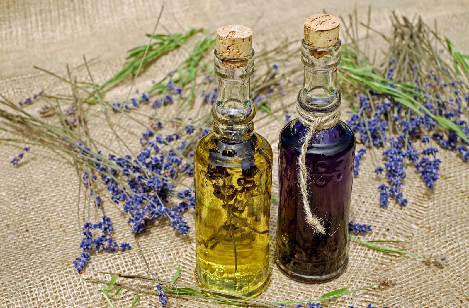 Image 1 : CONSULTATION NATUROPATHE background
