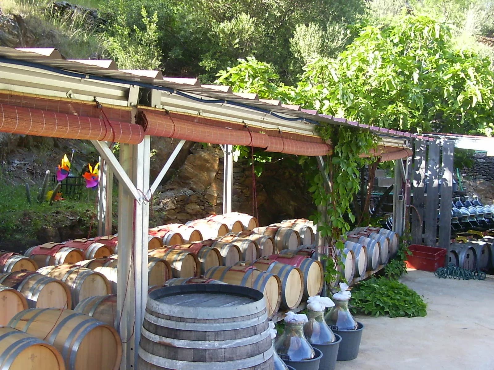 Image 1 : VISITE-DEGUSTATION A LA VINAIGRERIE LA GUINELLE background