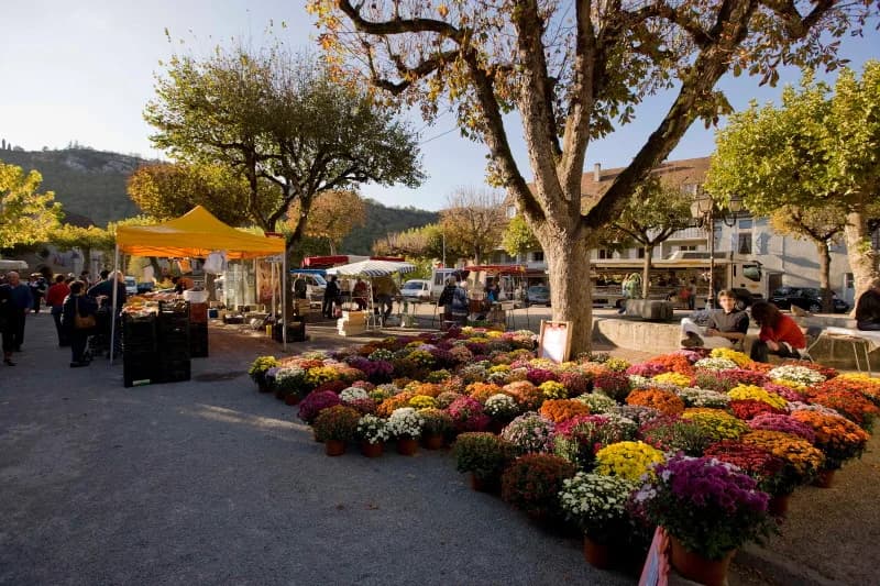 Image 3 : Marché à Cajarc background
